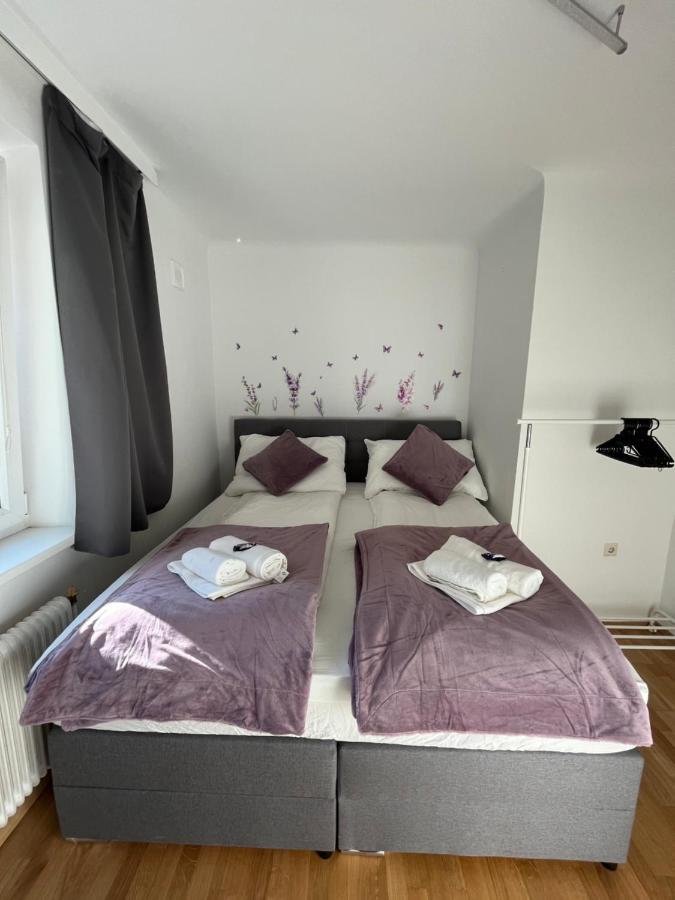 *Luxurious And Spacious Family Apartment* Vienne Extérieur photo